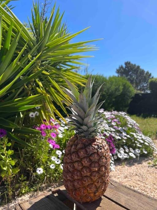 Garden, Garden, Garden view