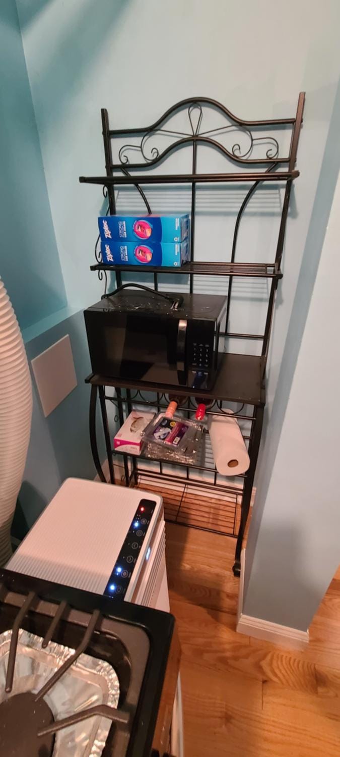 Private 1 Bedroom in Boston Apartment in Jamaica Plain