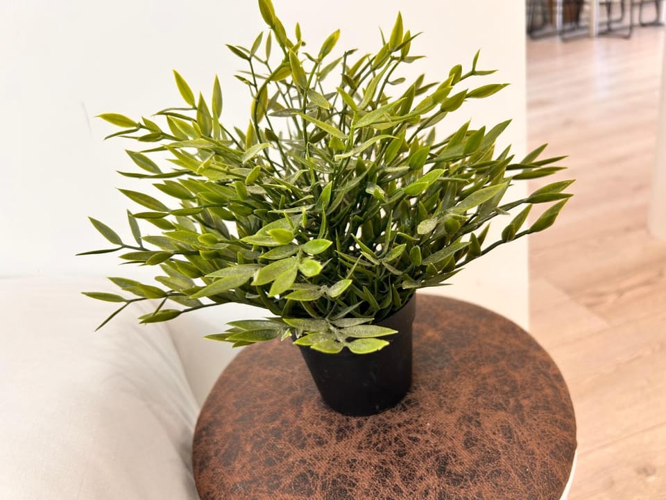 Néala- 4/6 pers - Standing Neuf Hyper centre Apartment in Saint-Raphael