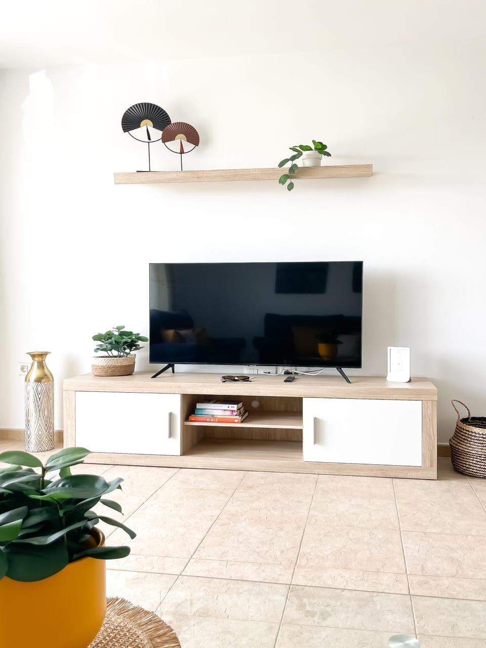 TV and multimedia