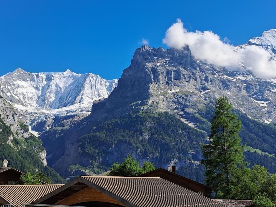 Chalet Engi Apt. 3 for up to 8 People Apartment in Grindelwald