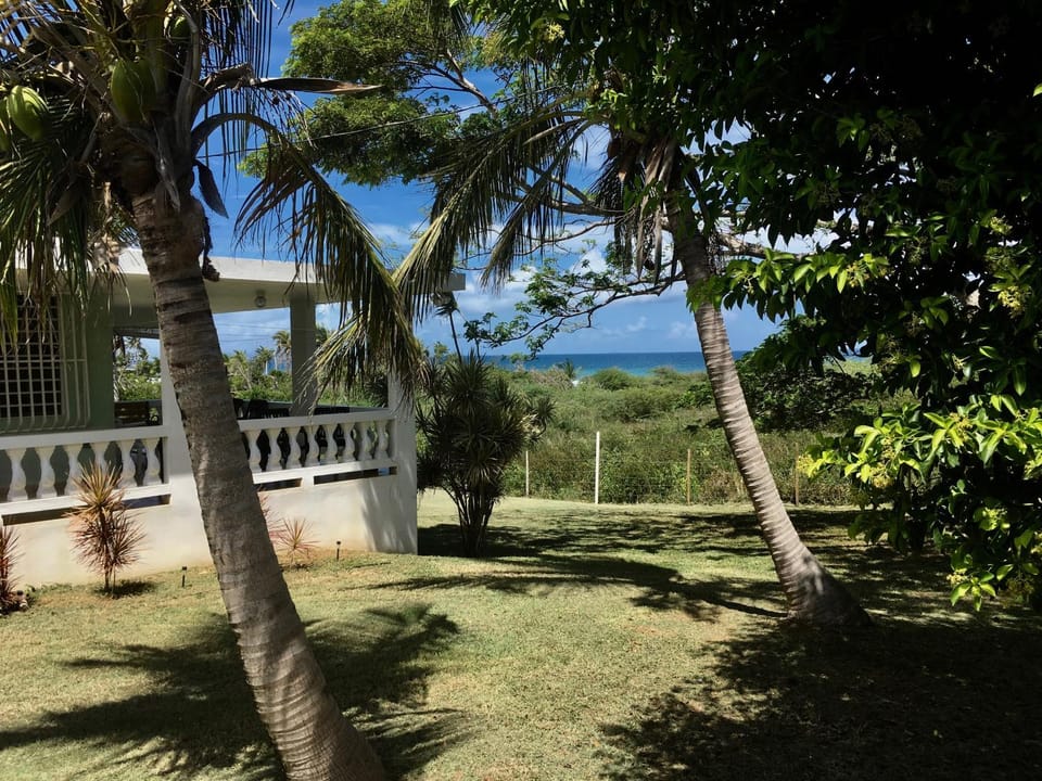 Property building, Garden, Sea view