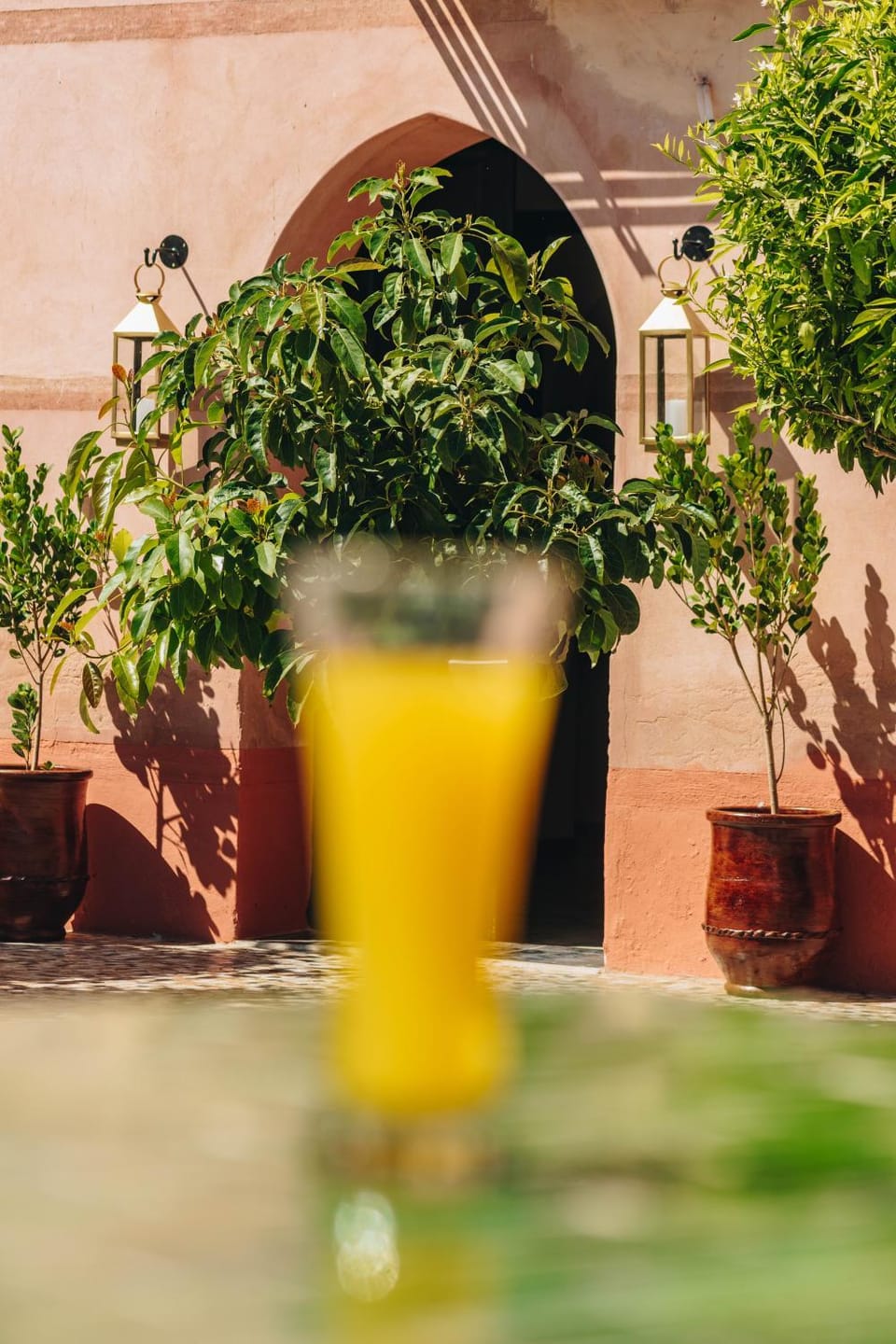 Patio, Food and drinks, Drinks
