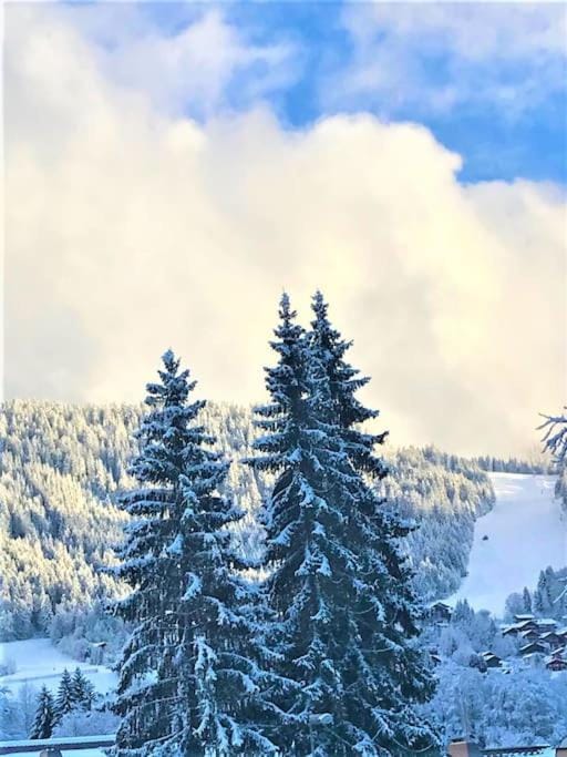 Nearby landmark, Natural landscape, Winter, Skiing, Balcony/Terrace, Hiking