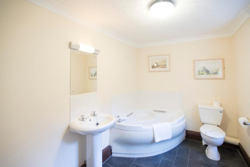 Toilet, Bathroom, Bath