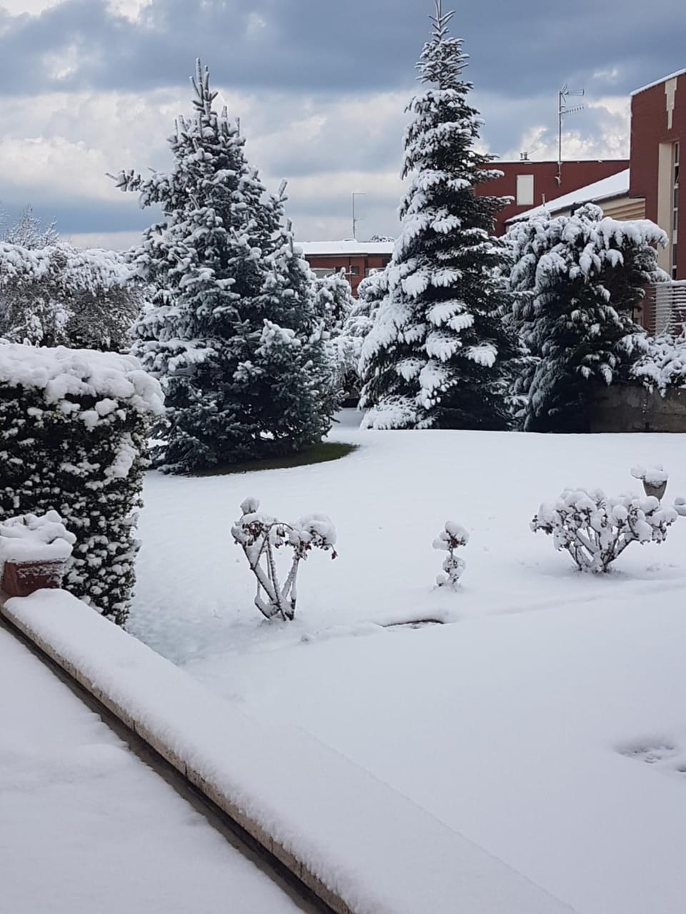 Winter, Garden, Coffee/tea facilities