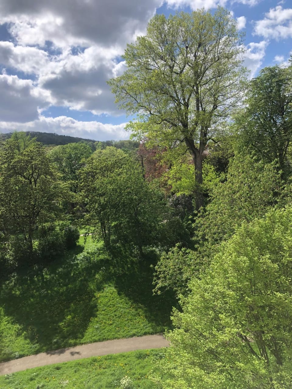 View (from property/room)