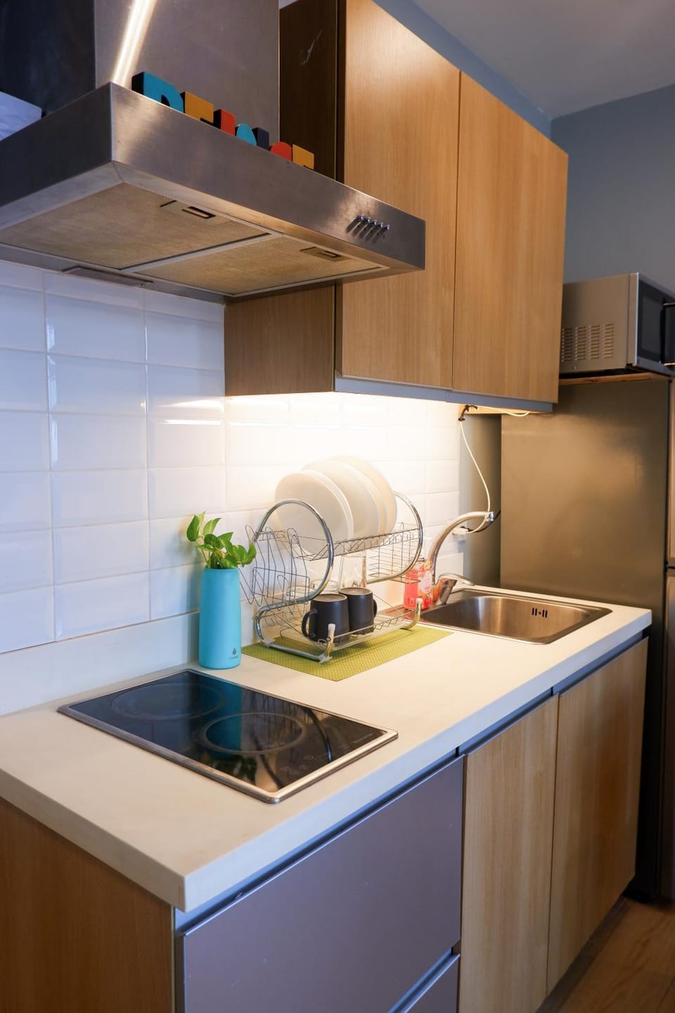 Kitchen or kitchenette, dishwasher
