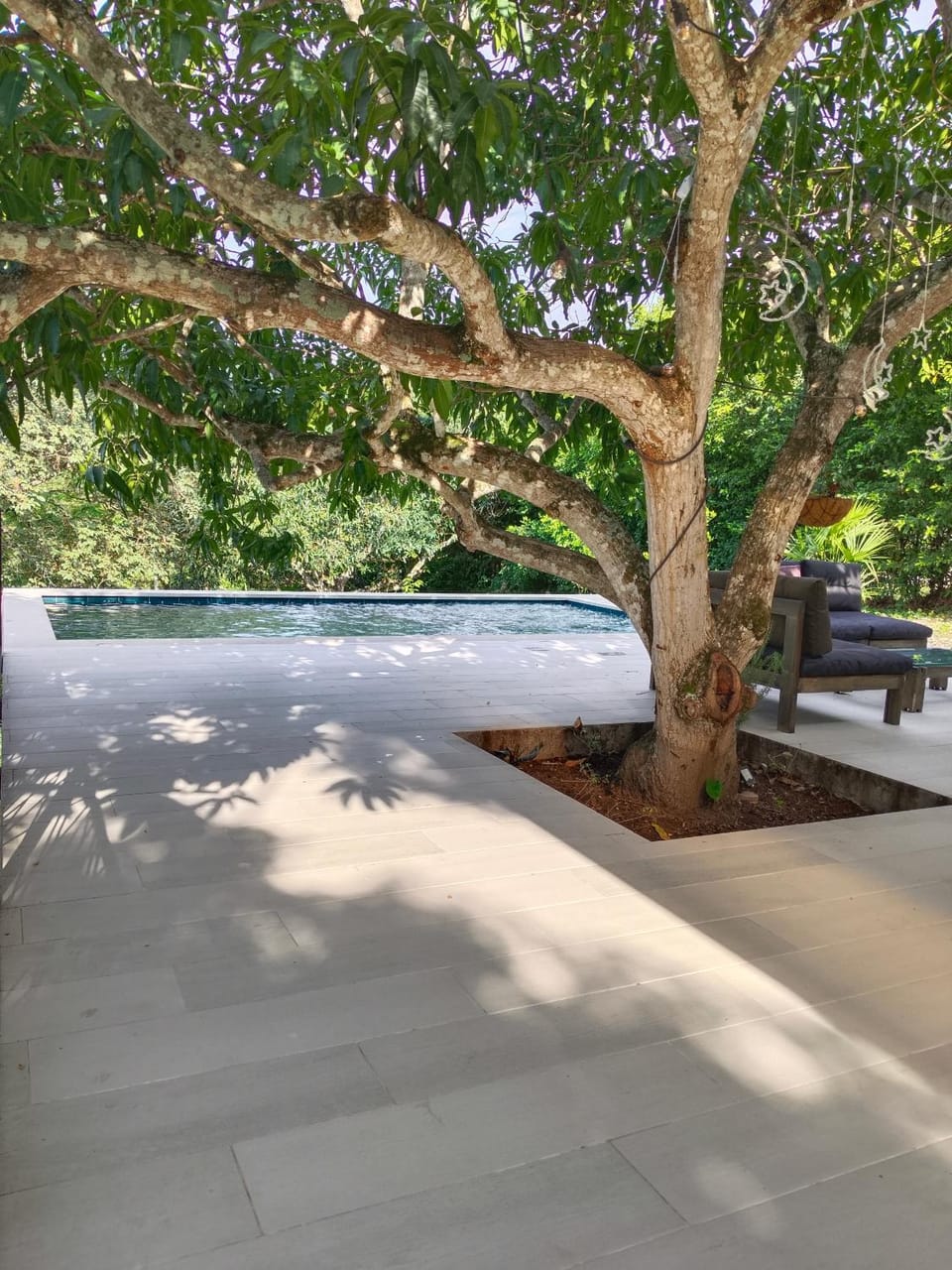 Garden, Swimming pool