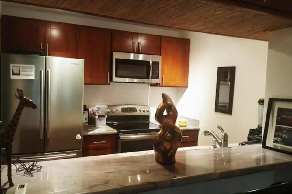 Huge 1 Bedroom in Heart of Kihei Apartment in Kihei