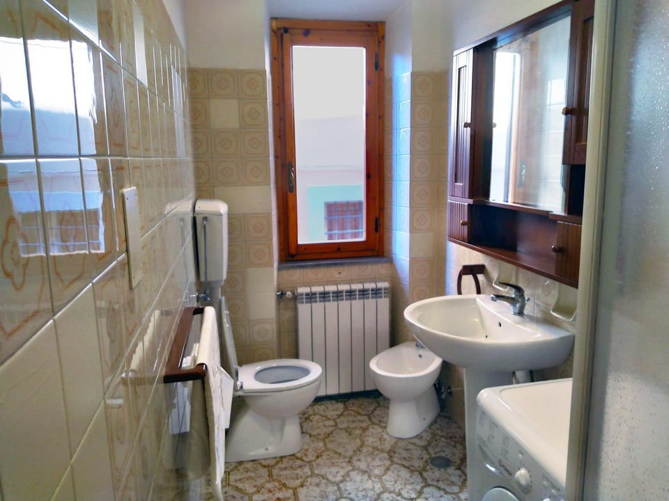 Shower, Toilet, Bathroom, bidet