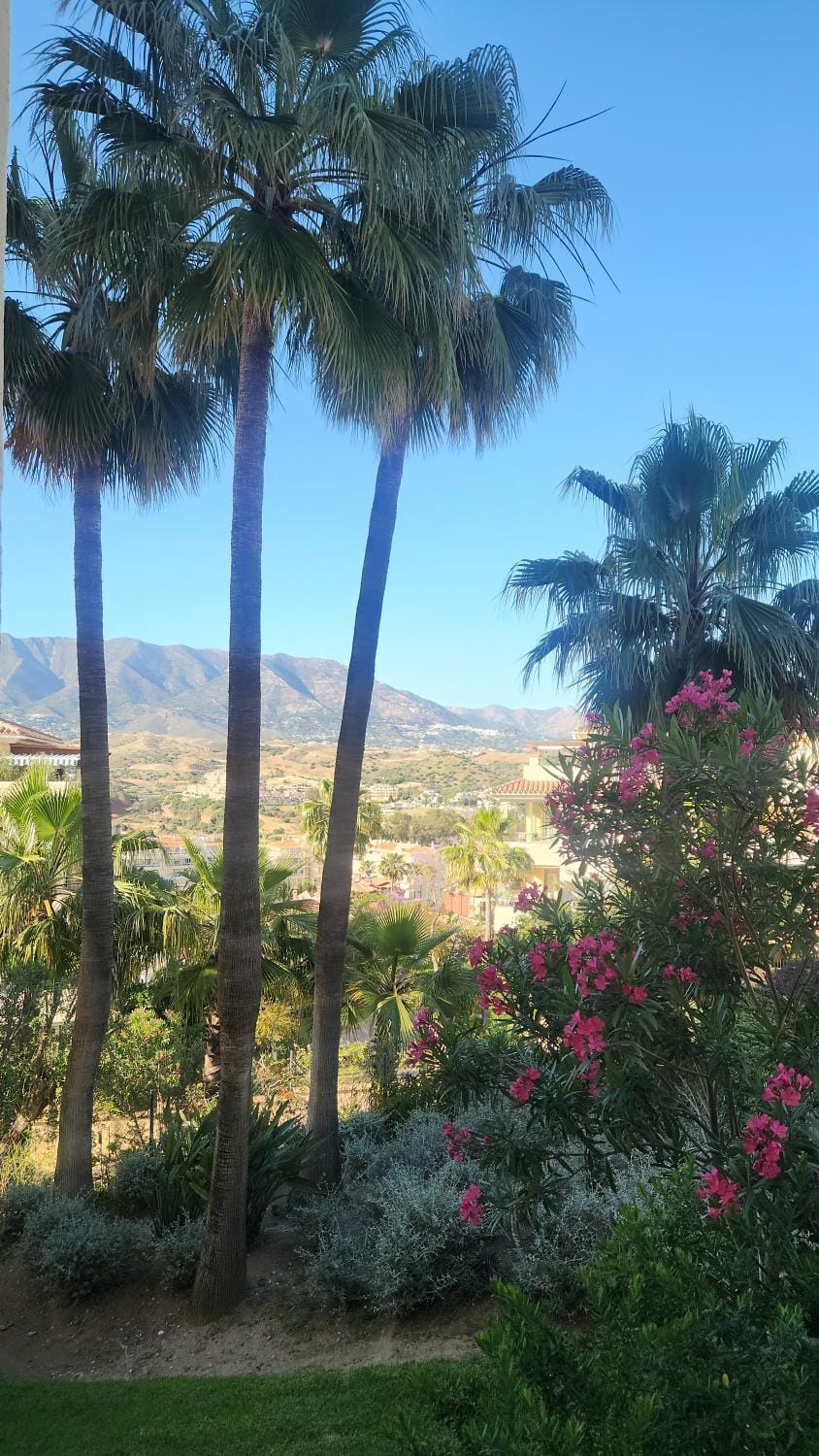 Garden view