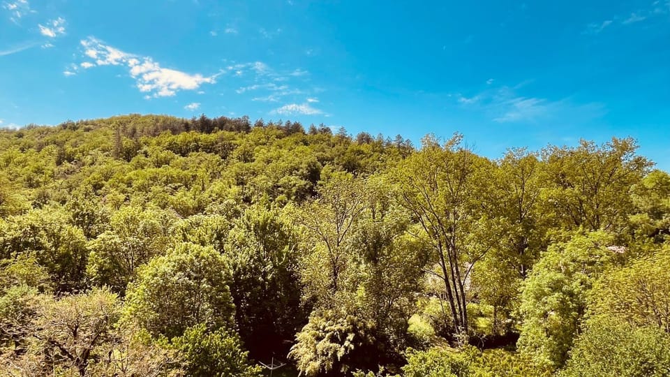 Les Chambres du Prieuré Bed and Breakfast in Occitanie