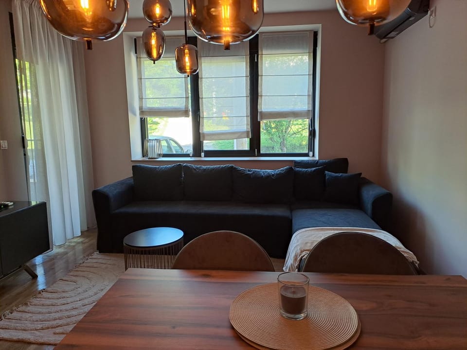 Hakuna Matata Apartment in Serbia