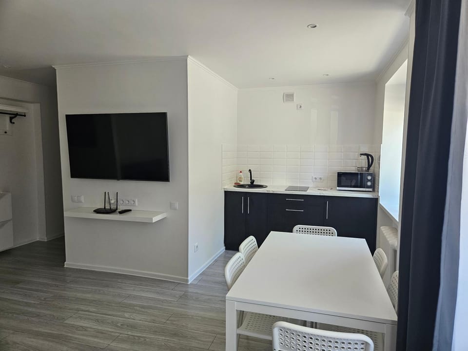 Central Space Miluva Apartment in Lithuania