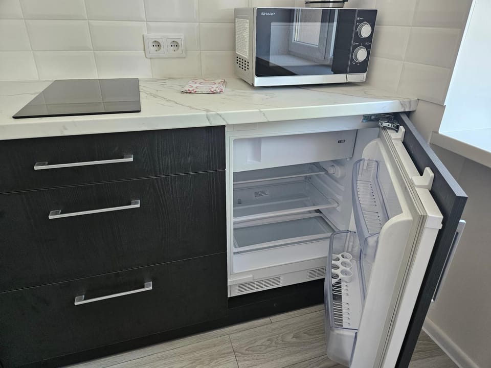 Central Space Miluva Apartment in Lithuania