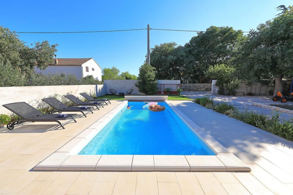 Garden, Garden view, Pool view, Swimming pool, Swimming pool, sunbed