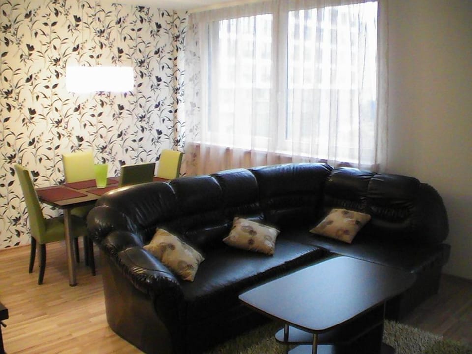 Vita apartment Apartment in Vilnius