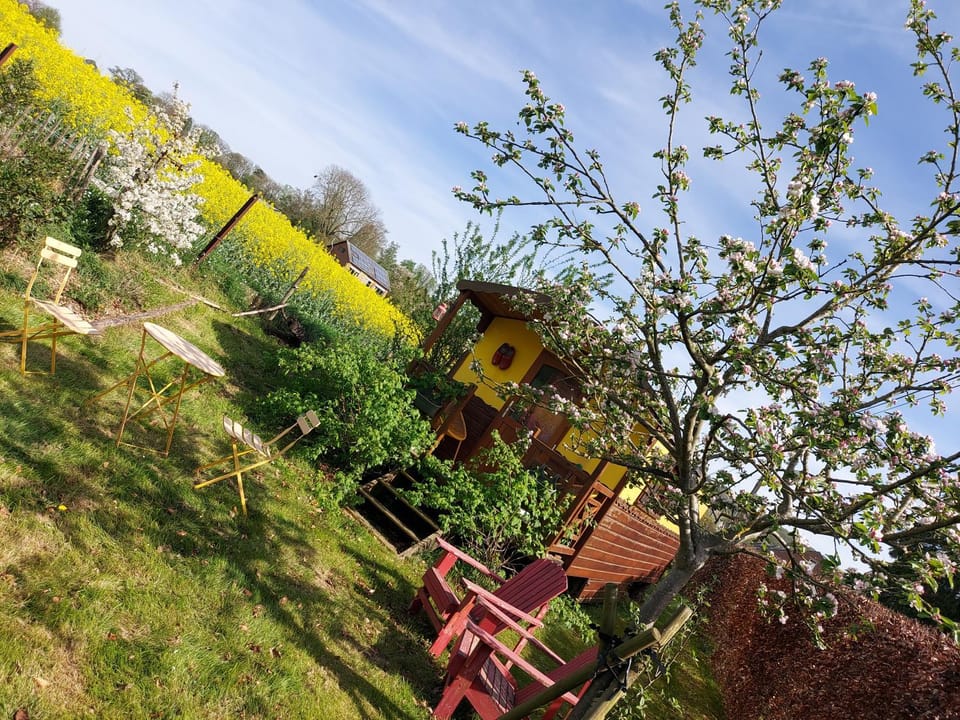 La roulotte de Mouni Nature lodge in Wallonia, Belgium