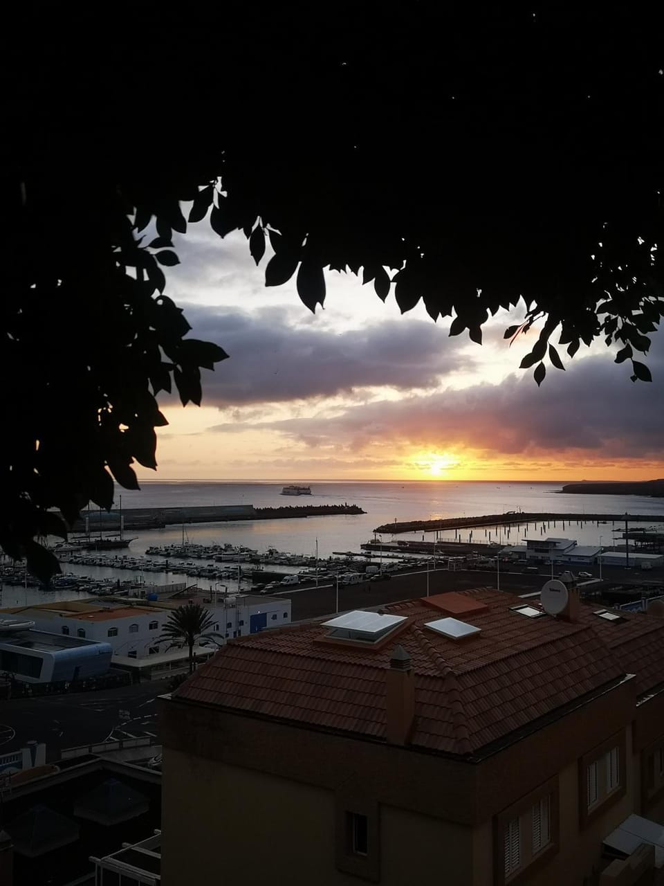 View (from property/room)