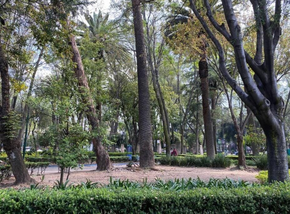Park Narvarte Apartment in Mexico City