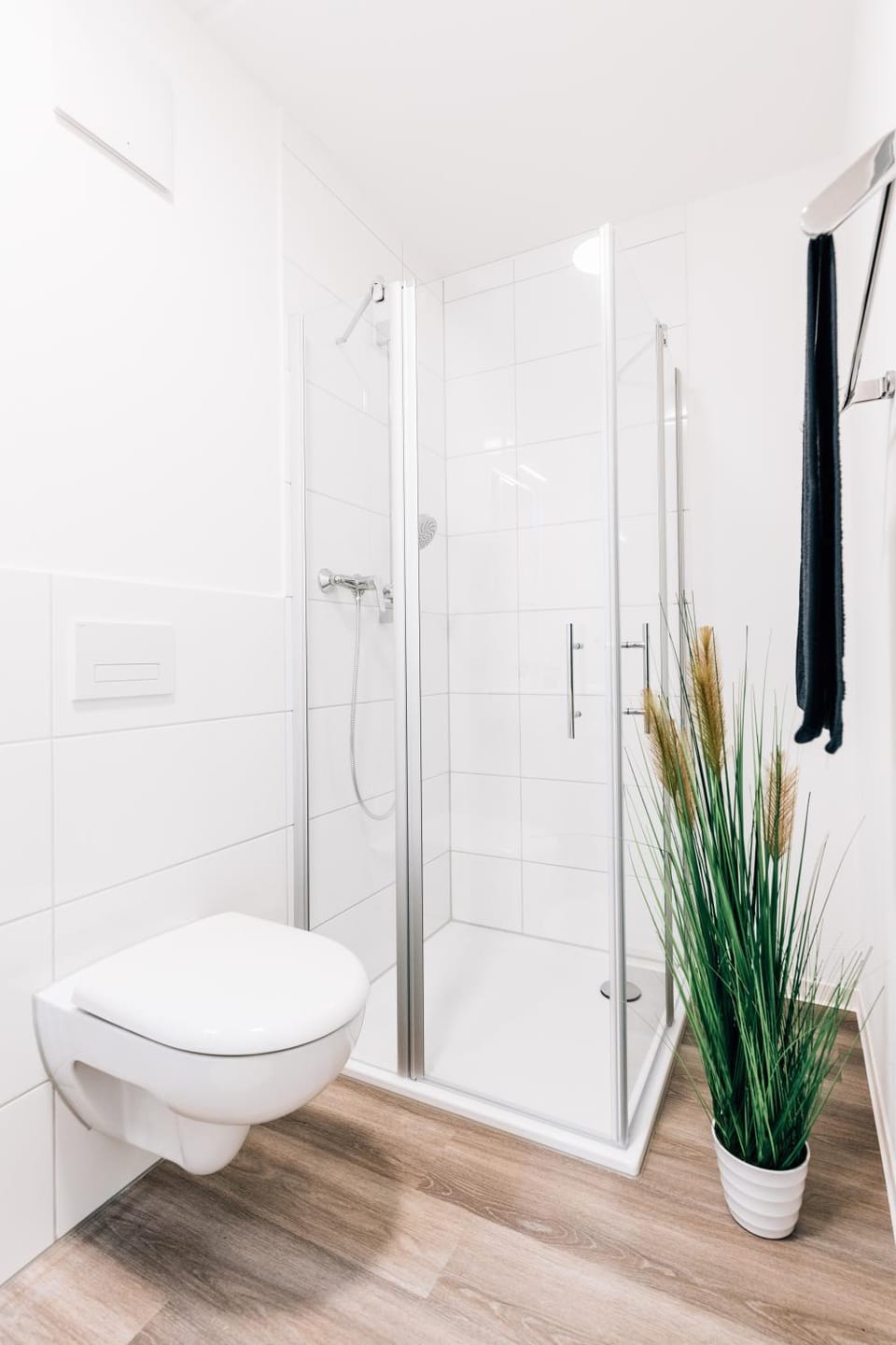 Shower, Toilet