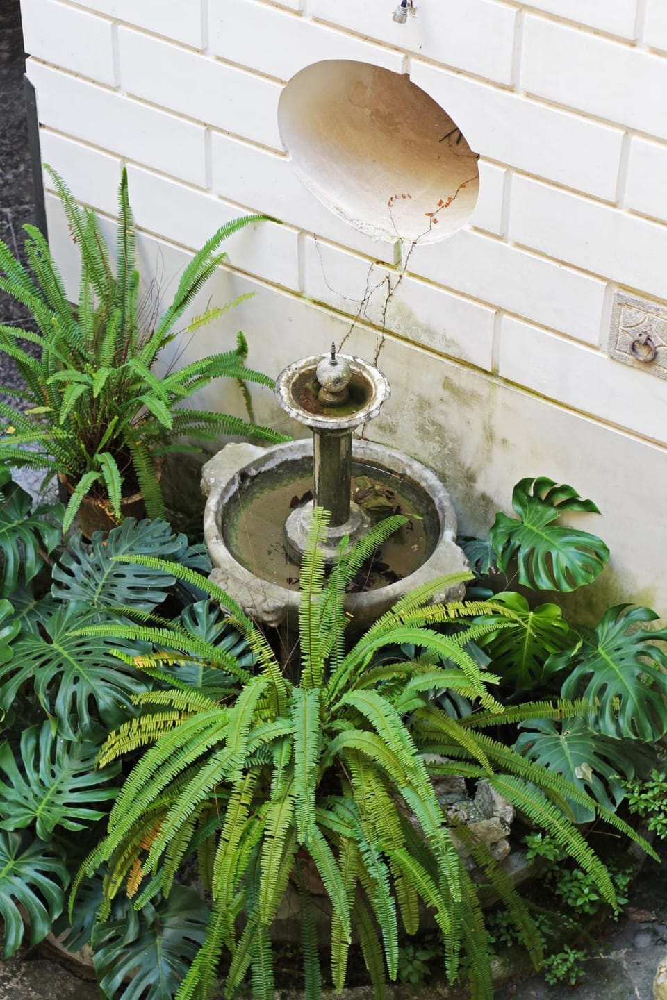 Patio, Inner courtyard view