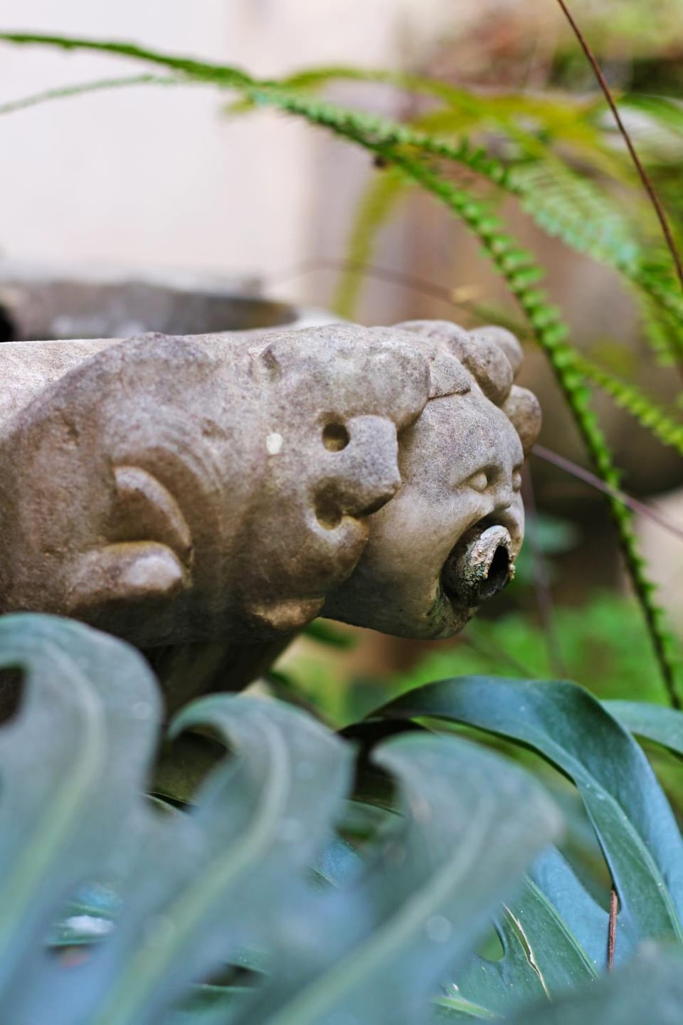 Patio, Decorative detail