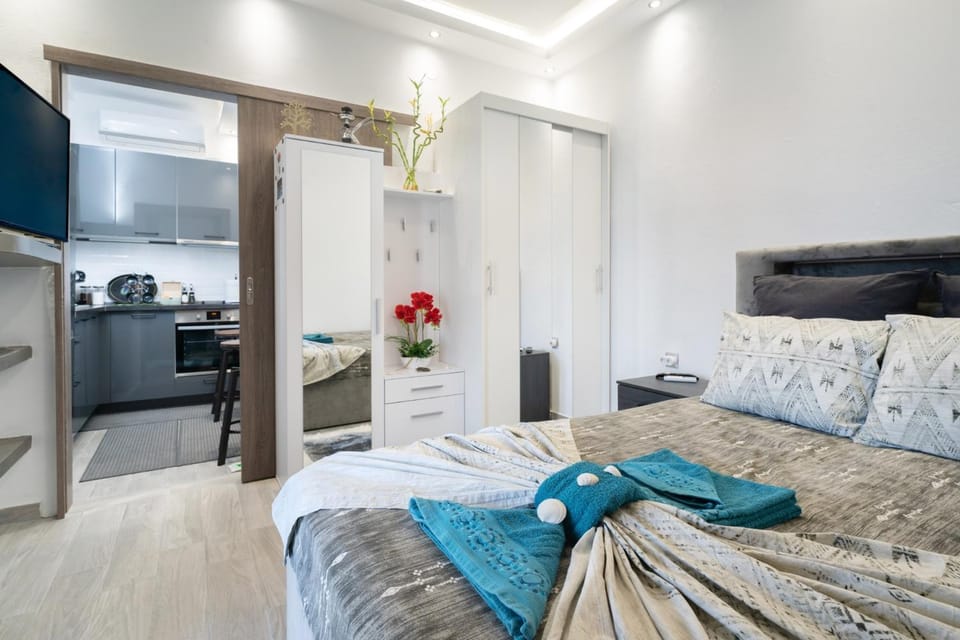 Bed, TV and multimedia, Kitchen or kitchenette, Photo of the whole room, wardrobe