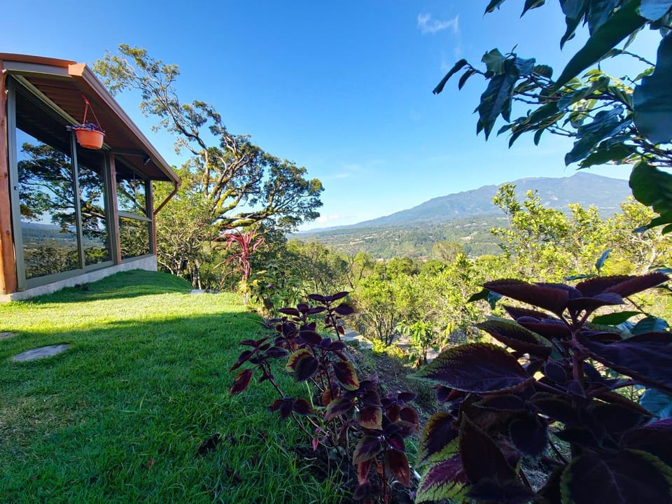 Property building, Restaurant/places to eat, Spring, Day, Natural landscape, Garden, Garden view, Mountain view, Breakfast
