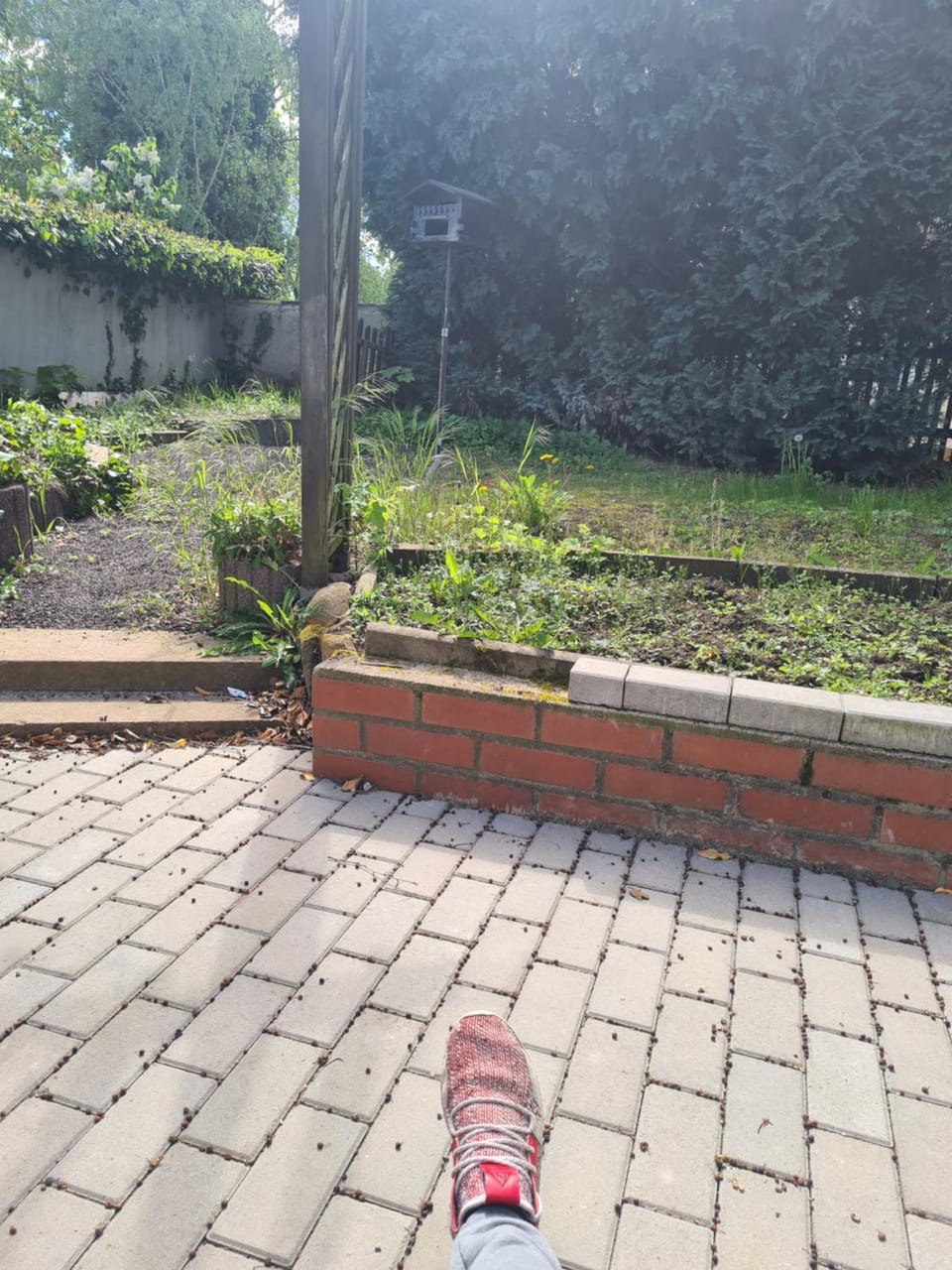 Property building, Garden