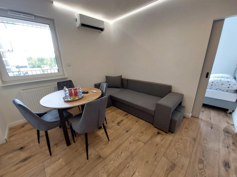 Bed, Living room, Photo of the whole room, Seating area, Dining area, Bedroom, air conditioner