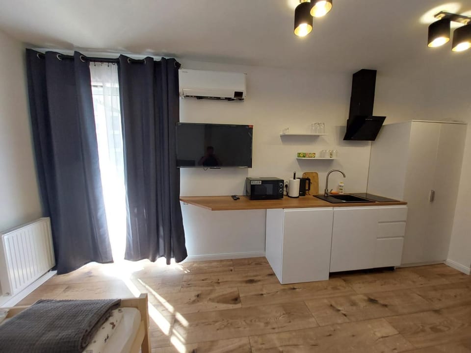 TV and multimedia, Coffee/tea facilities, Kitchen or kitchenette, Living room, minibar, oven, stove, toaster