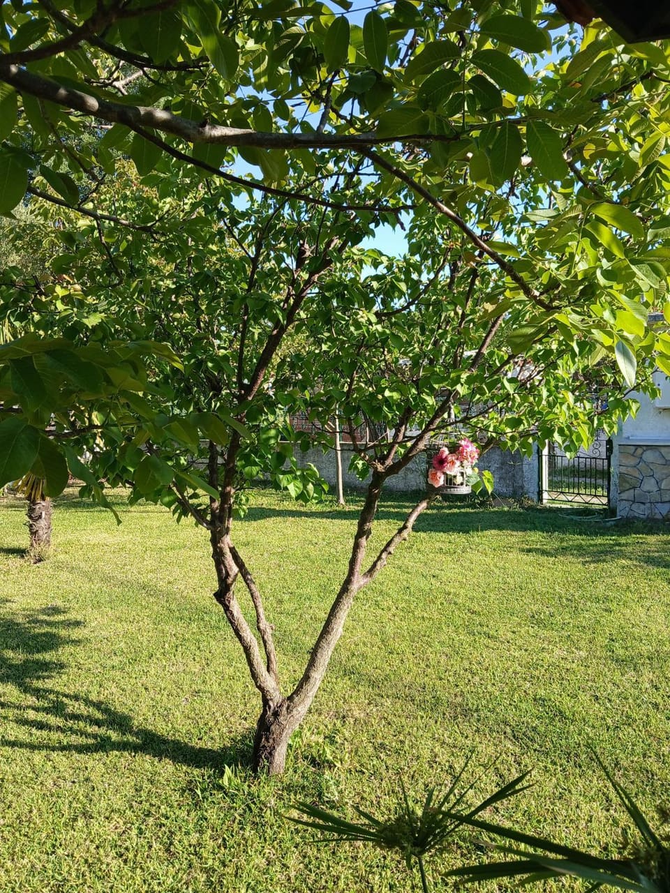 Garden, Garden view
