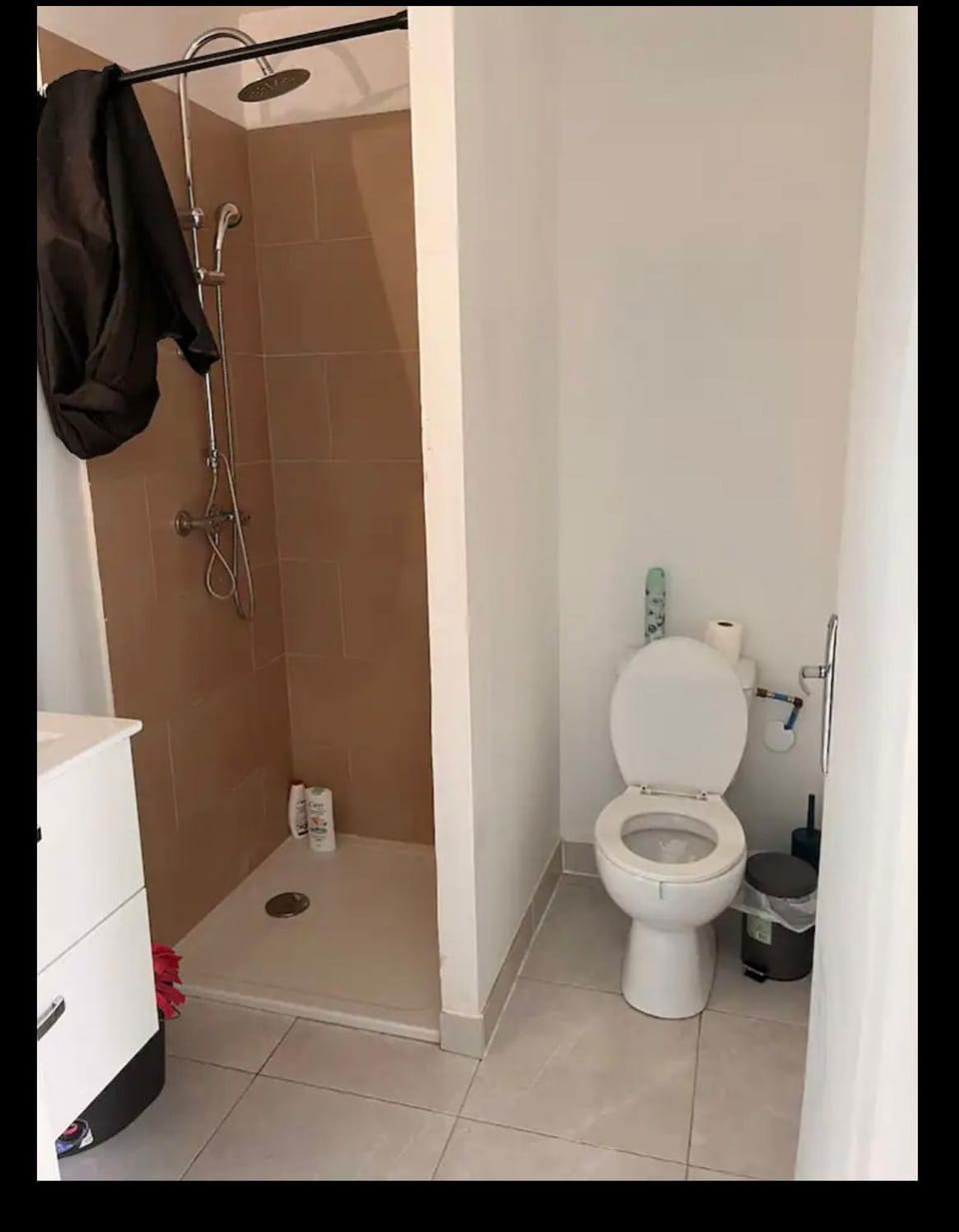 Warm appartment Vacation rental in Île-de-France