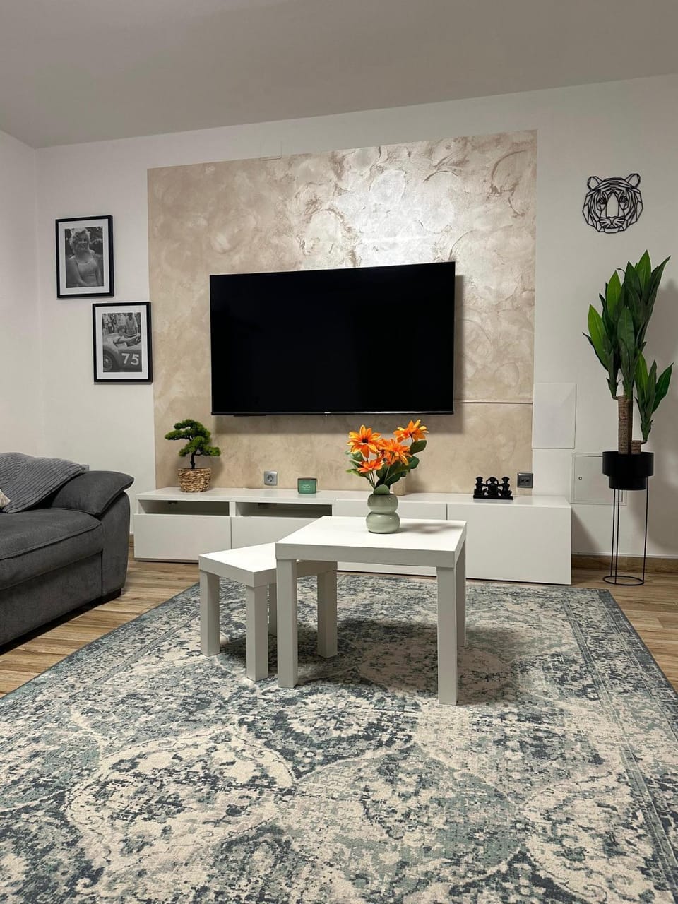 TV and multimedia, Living room