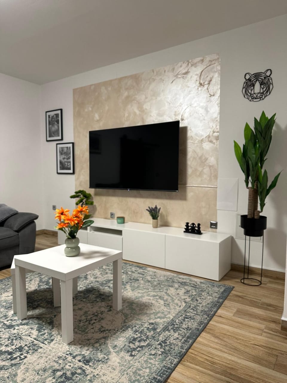 TV and multimedia, Living room