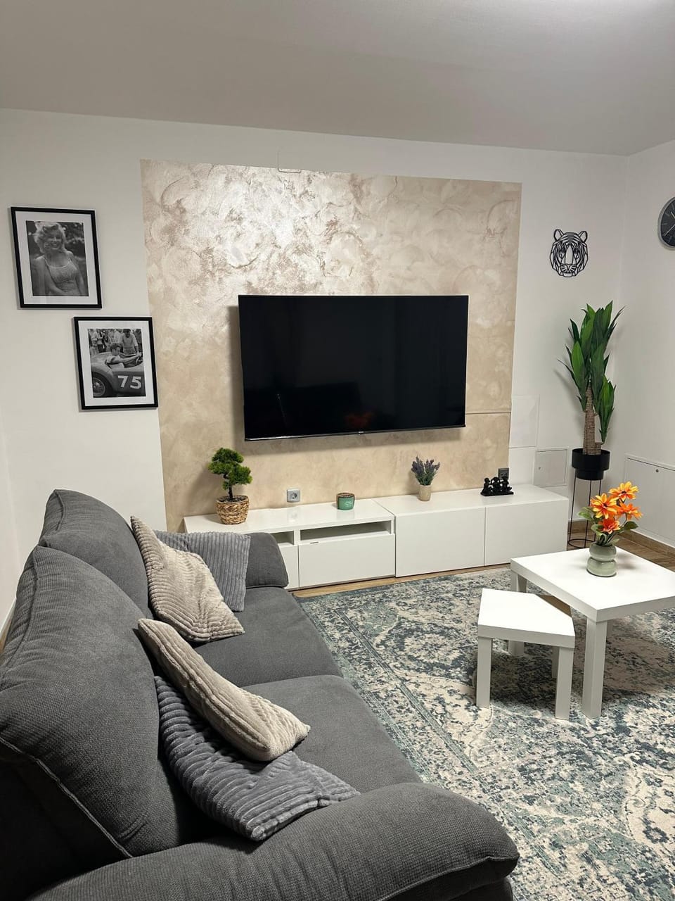 TV and multimedia, Living room