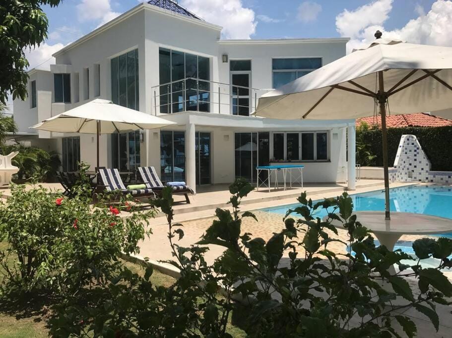 Garden, Swimming pool