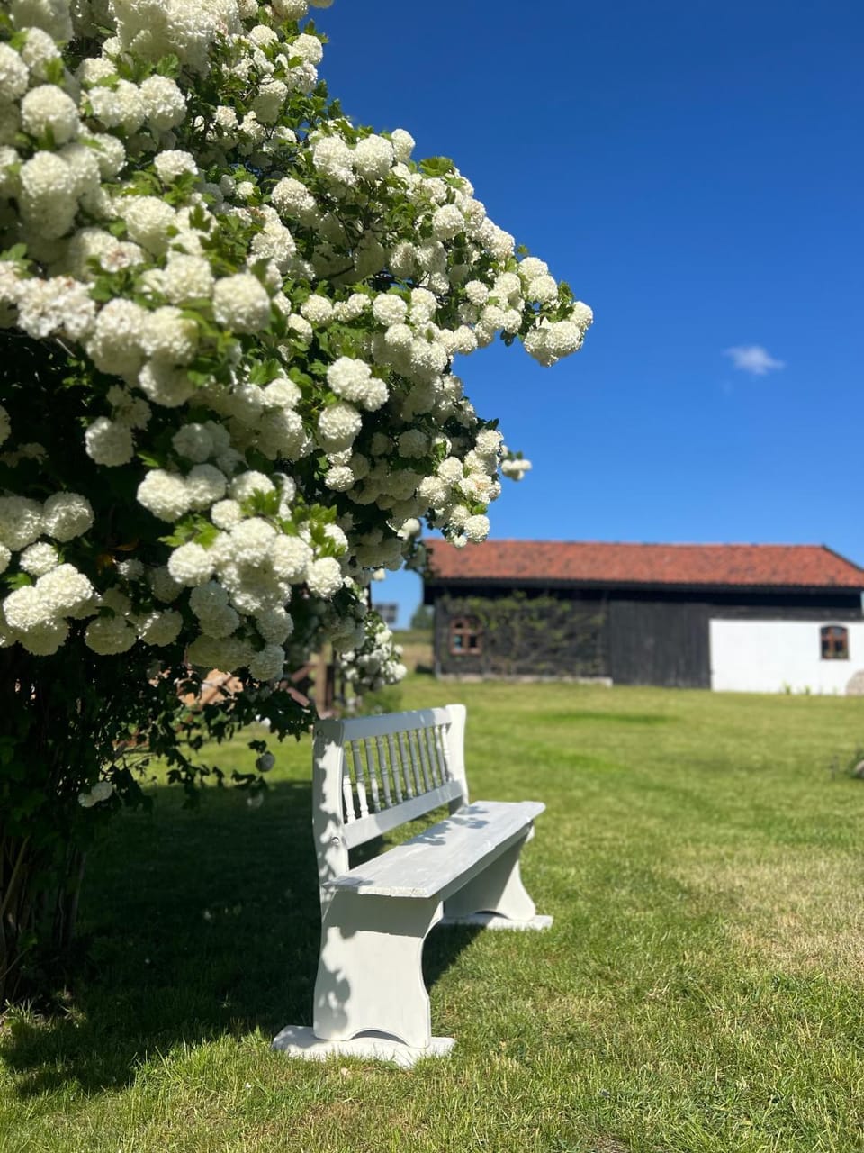 Spring, Day, Natural landscape, Garden