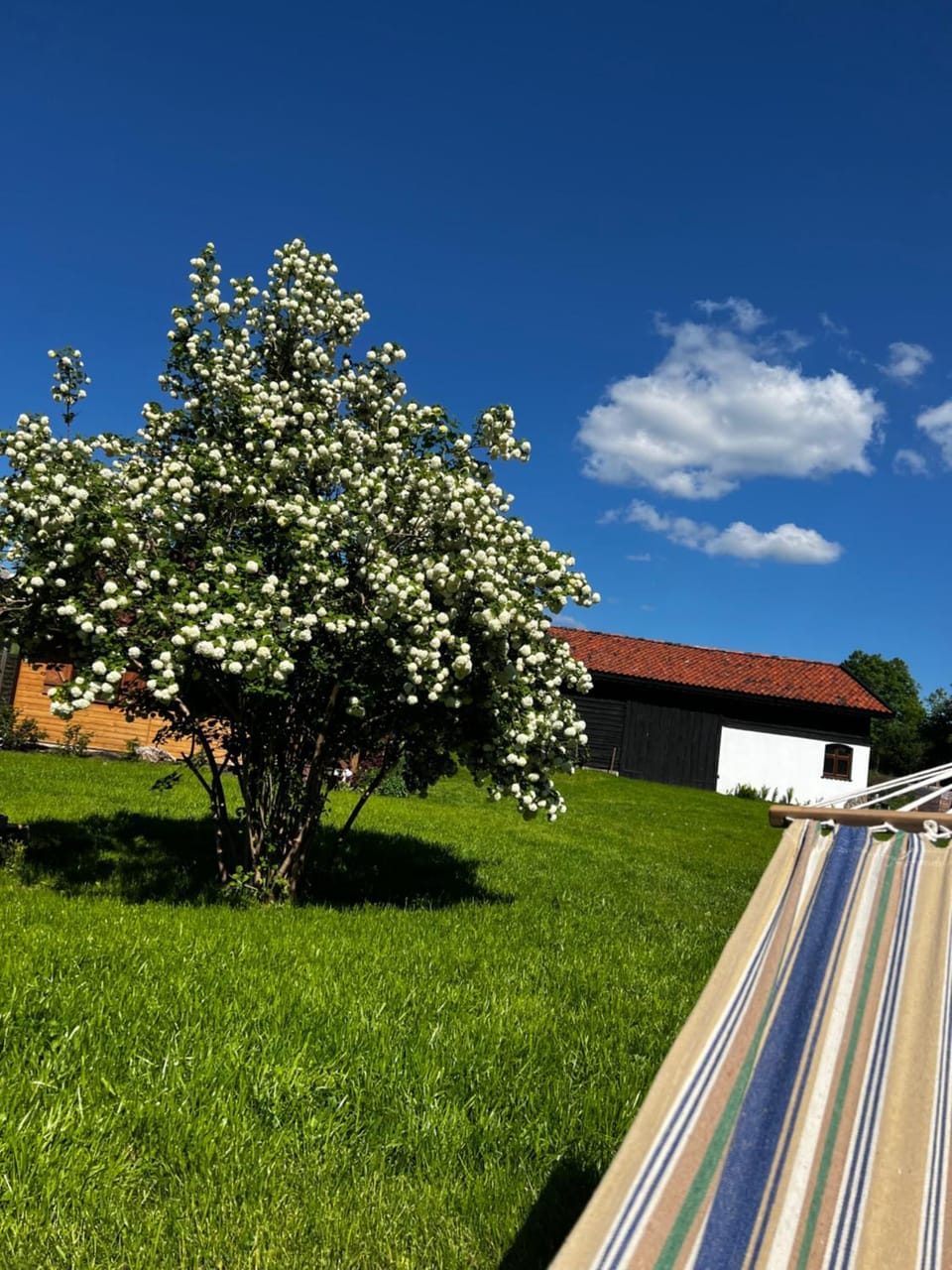 Spring, Day, Natural landscape, Garden, Garden view