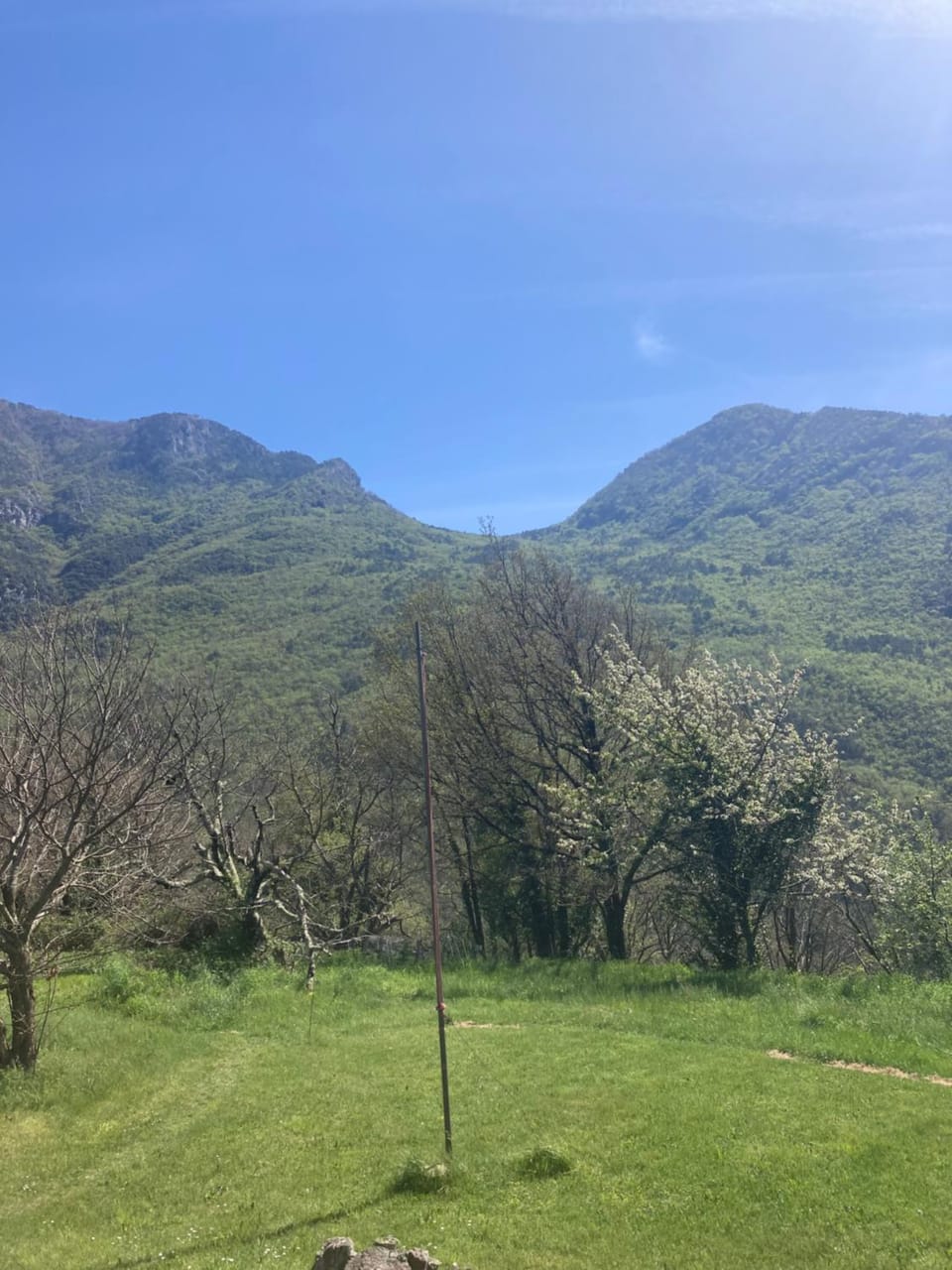 View (from property/room)
