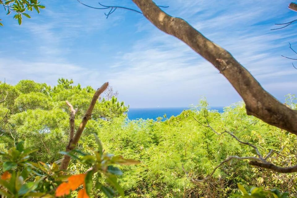 Day, Natural landscape