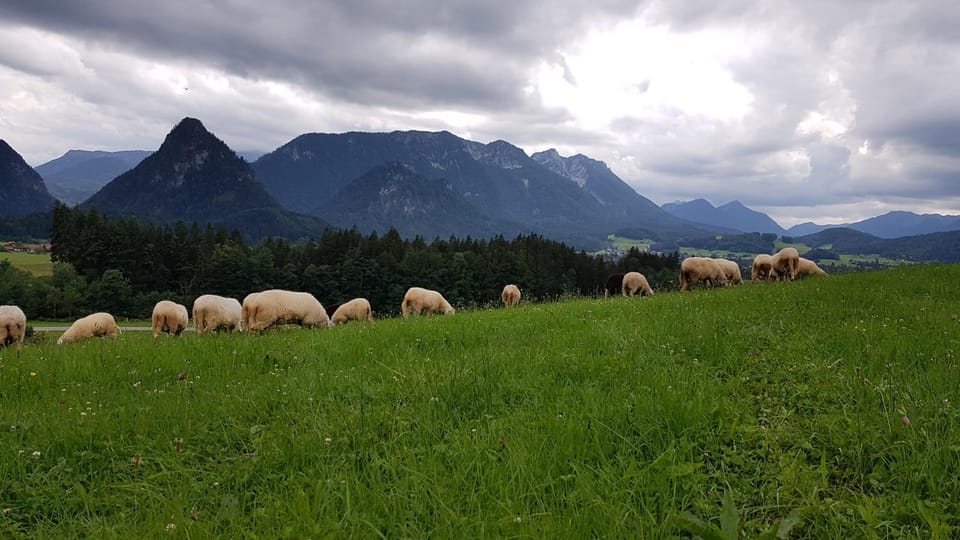 Natural landscape, Mountain view