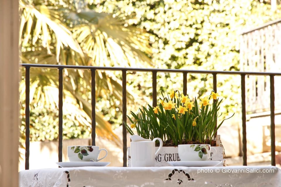 Balcony/Terrace, Balcony/Terrace
