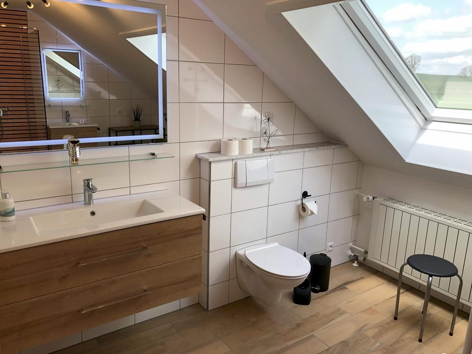 Bathroom, Living room