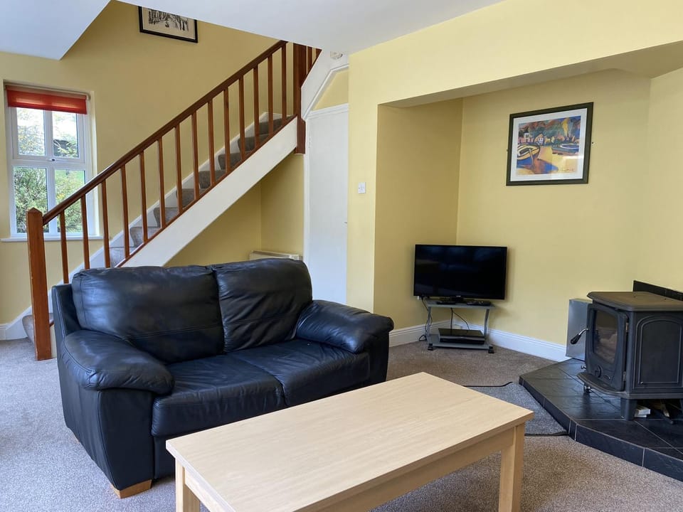 Communal lounge/ TV room, TV and multimedia, Seating area, fireplace, internet