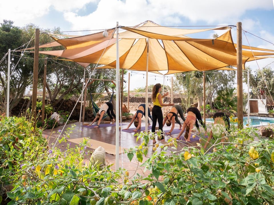 Patio, Activities, Garden, Garden, Fitness centre/facilities