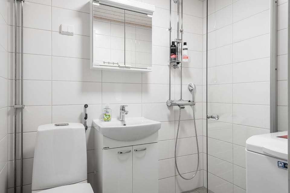 Paju Suites Apartment in Finland