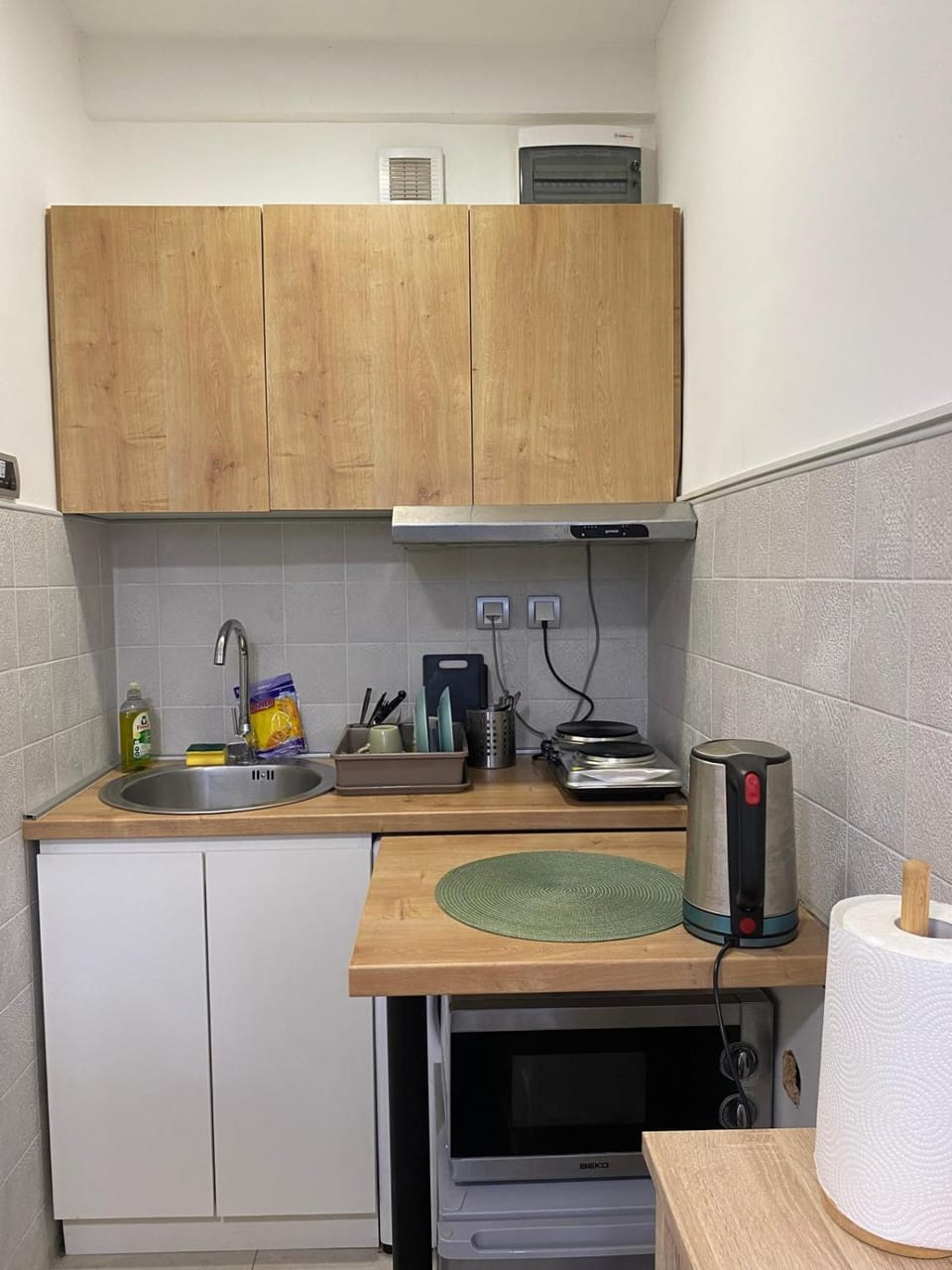 Under the Tree Apartment in Belgrade